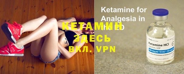 прущие грибы Карталы