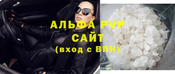 стафф Касимов