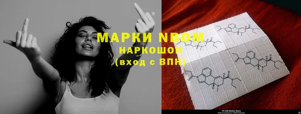 стафф Касимов