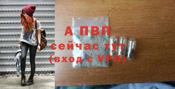 прущие грибы Карталы