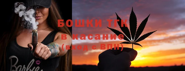 стафф Касимов