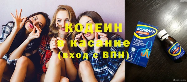 сатива Чердынь