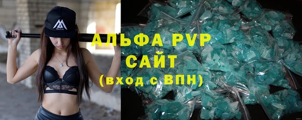 стафф Касимов