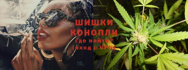 прущие грибы Карталы