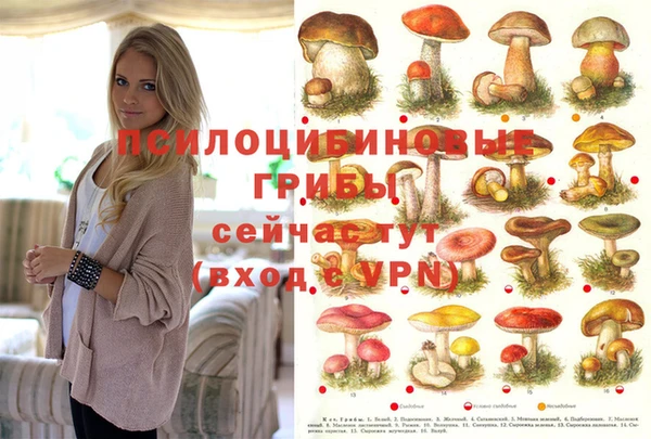 прущие грибы Карталы