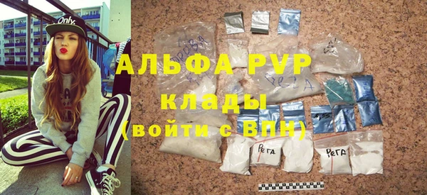 стафф Касимов