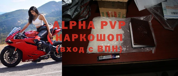 прущие грибы Карталы