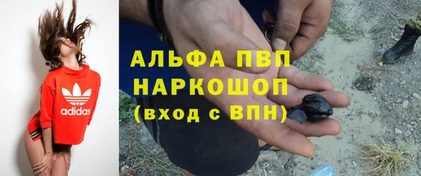 прущие грибы Карталы
